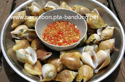 Makanan Laut Khas Kepulauan Riau yang lezat